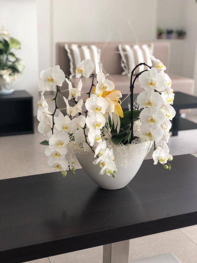 Hotel Carmen リッチョーネ エクステリア 写真